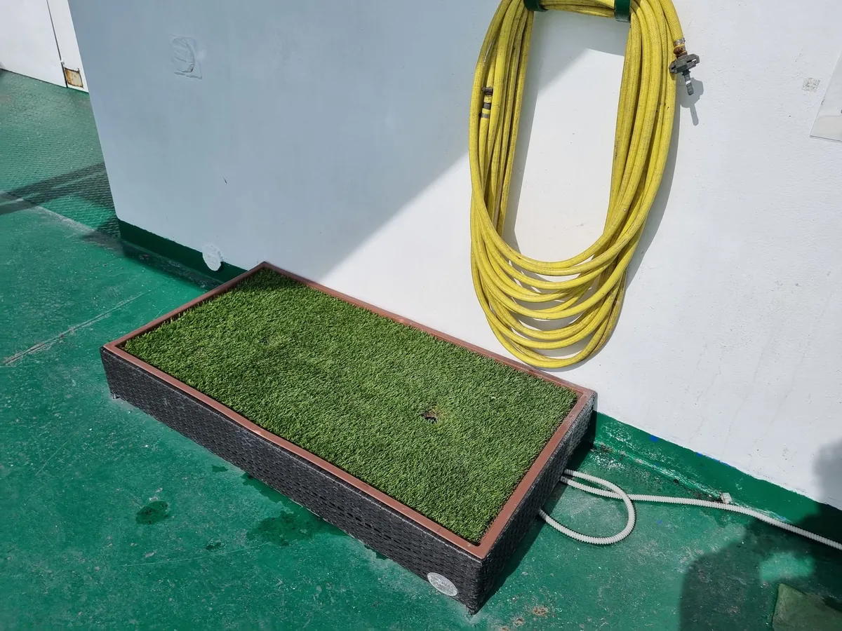 Un bac rectangulaire de gazon synthétique dans un cadre noir sur un pont extérieur vert, avec un tuyau d’arrosage jaune enroulé au mur blanc au-dessus