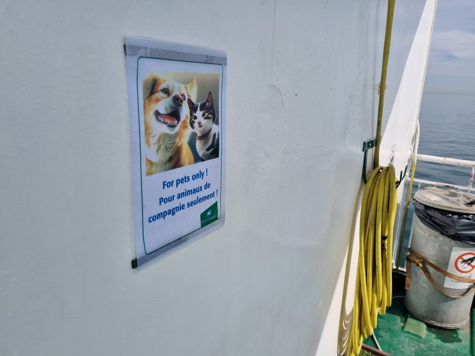 Un panneau d’Irish Ferries avec un chien et un chat et les mots For pets only et Pour animaux de compagnie seulement, sur un mur blanc du pont extérieur, à côté d’un tuyau d’arrosage jaune et d’une poubelle