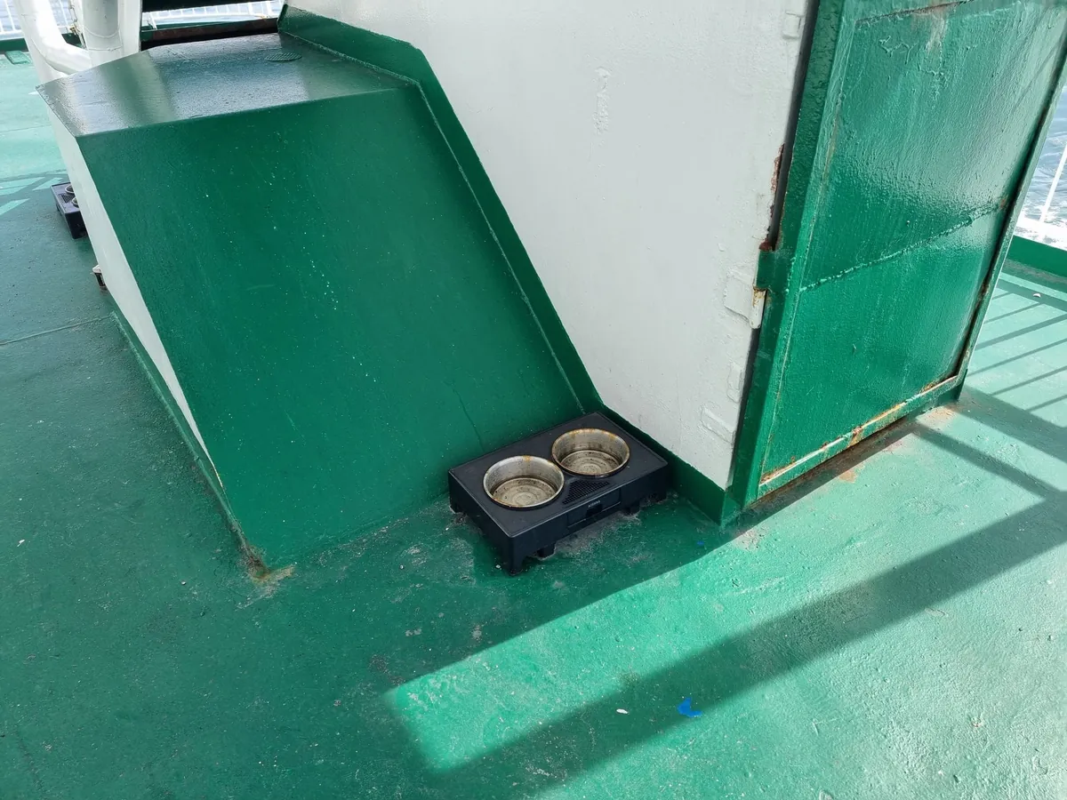 Deux gamelles d’eau en inox dans un support noir, dans un coin d’un pont extérieur vert, contre une paroi blanche et une paroi verte